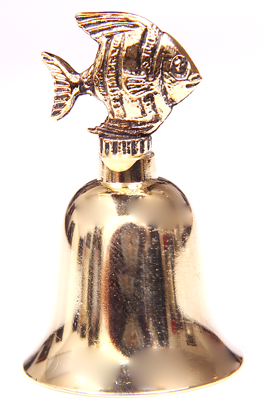 foto zvone�ek hladk� - mal�, ryba